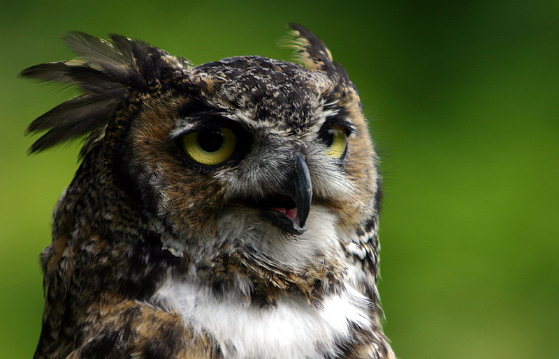 ���������� ��� :: ���������� 2