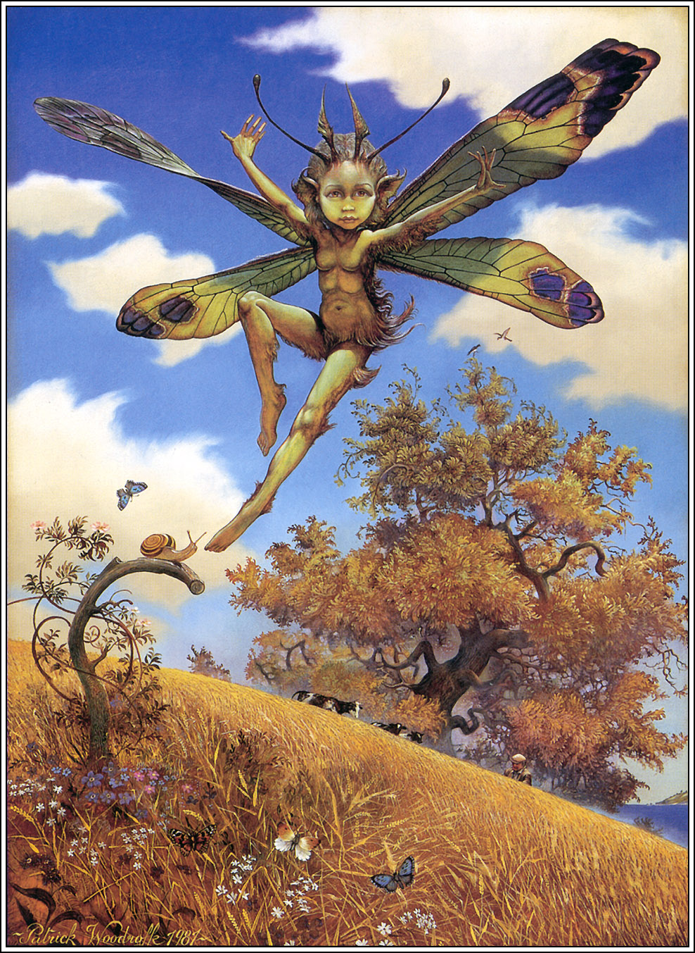 ��������� :: ������ ������ (Patrick Woodroffe) :: ���������� 2