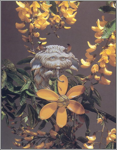 ��������� :: ������ ������ (Patrick Woodroffe) ���� 66