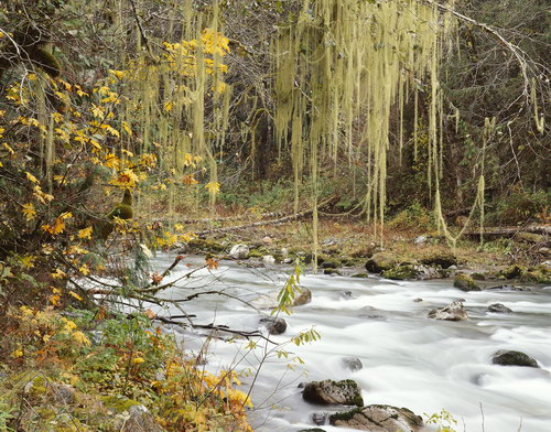 ������� :: ��������� ������� ���� 11