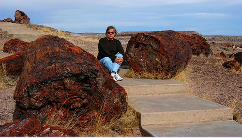 ������� :: ���������� ��� (Petrified forest) ���� 2