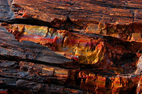 ������� :: ���������� ��� (Petrified forest) ���� 3