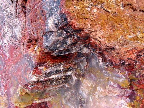 ������� :: ���������� ��� (Petrified forest) ���� 9