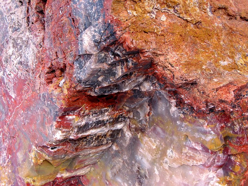 ������� :: ���������� ��� (Petrified forest) :: ���������� 2