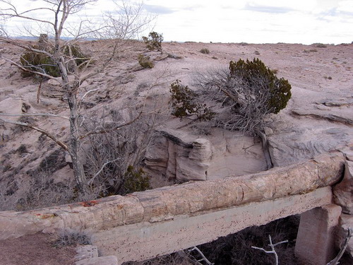 ������� :: ���������� ��� (Petrified forest) ���� 10