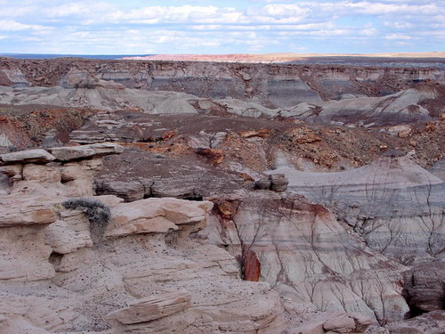 ������� :: ���������� ��� (Petrified forest) ���� 11