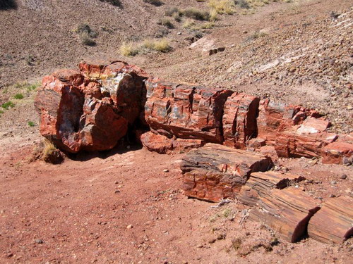 ������� :: ���������� ��� (Petrified forest) ���� 18