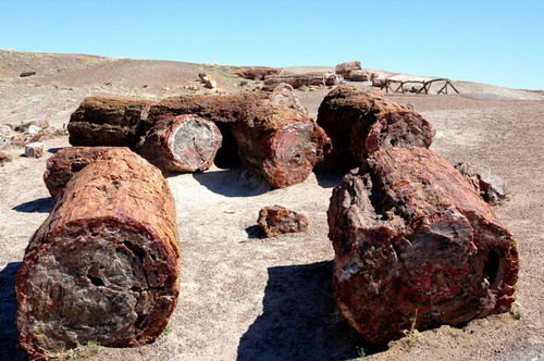 ������� :: ���������� ��� (Petrified forest) ���� 20