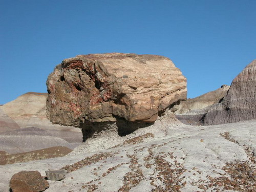 ������� :: ���������� ��� (Petrified forest) ���� 22