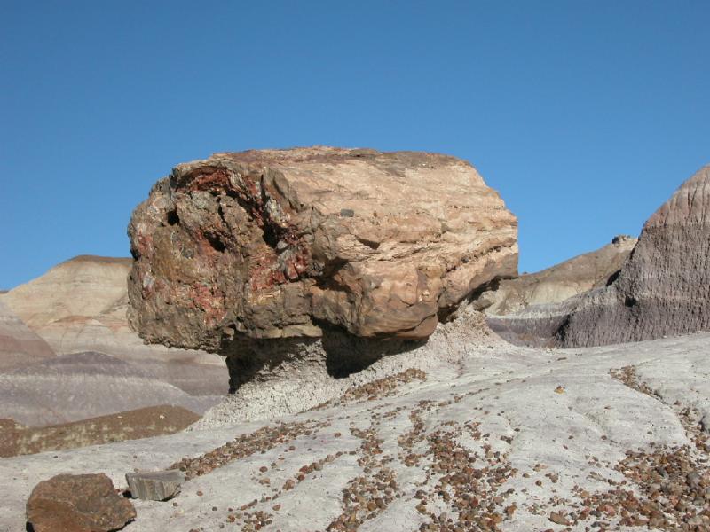 ������� :: ���������� ��� (Petrified forest) :: ���������� 2