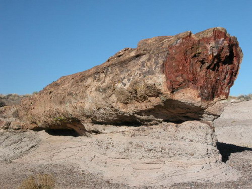 ������� :: ���������� ��� (Petrified forest) ���� 23