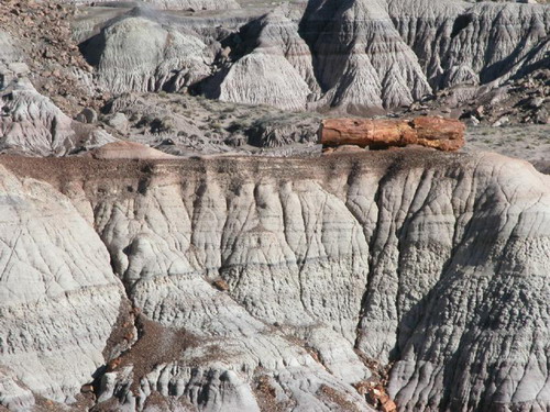 ������� :: ���������� ��� (Petrified forest) ���� 24