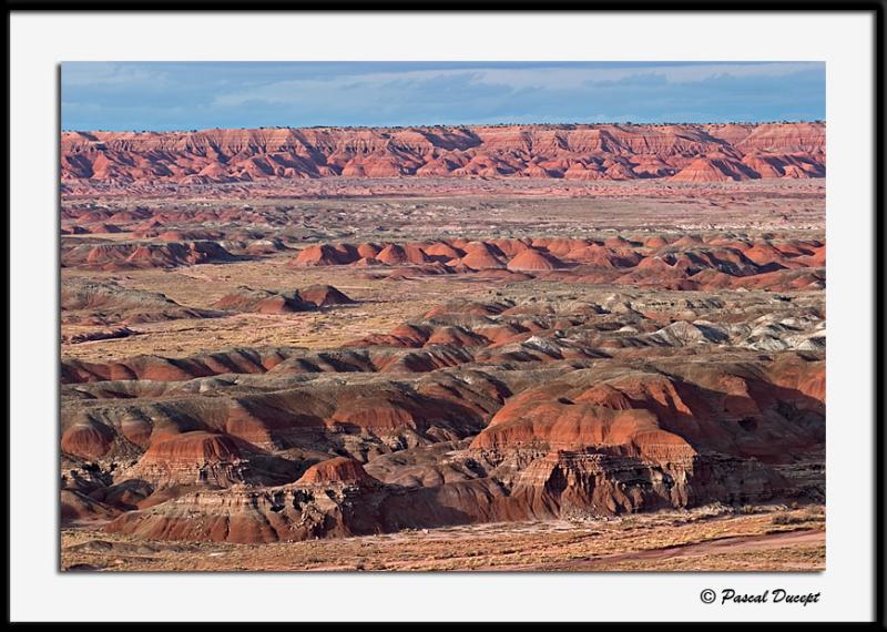 ������� :: ���������� ��� (Petrified forest) :: ���������� 2
