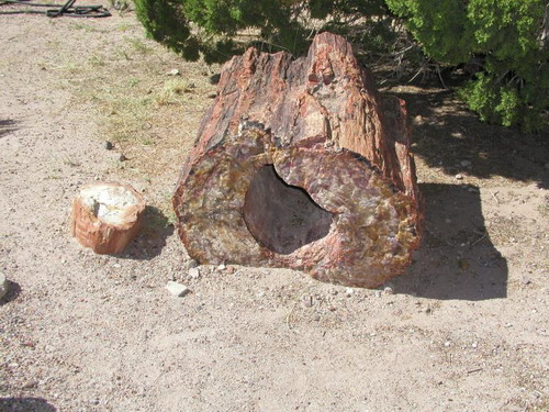 ������� :: ���������� ��� (Petrified forest) ���� 29