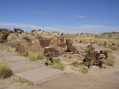 ������� :: ���������� ��� (Petrified forest) ���� 30