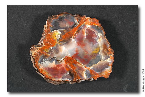 ������� :: ���������� ��� (Petrified forest) ���� 33