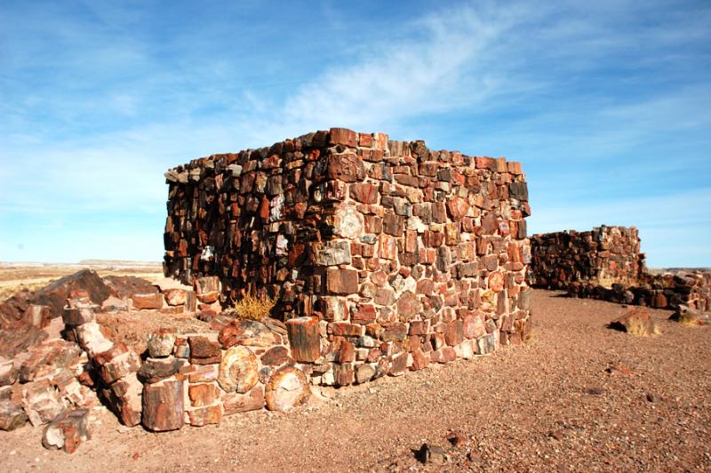 ������� :: ���������� ��� (Petrified forest) :: ���������� 2