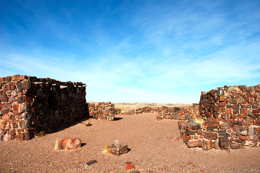 ������� :: ���������� ��� (Petrified forest) :: ���������� 2