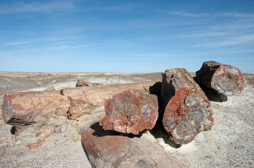 ������� :: ���������� ��� (Petrified forest) ���� 38