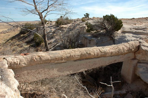 ������� :: ���������� ��� (Petrified forest) ���� 39