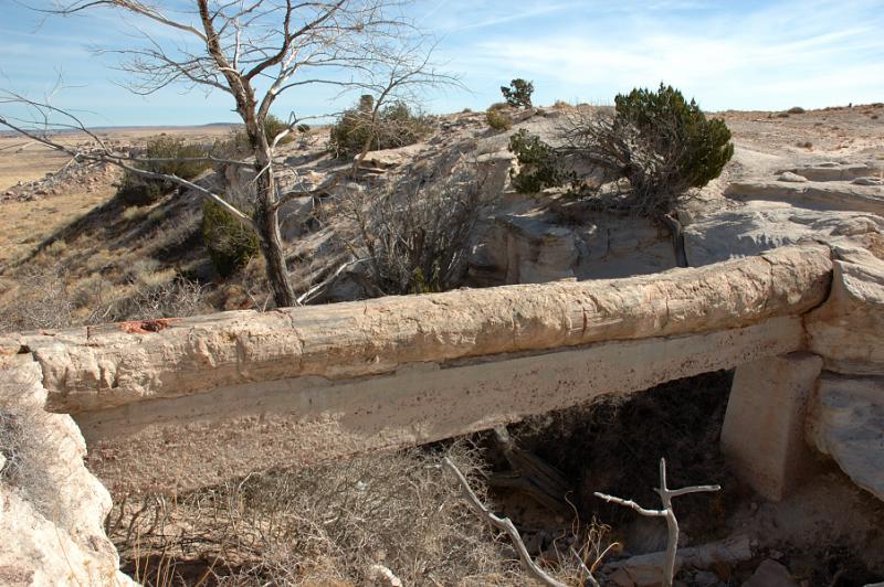 ������� :: ���������� ��� (Petrified forest) :: ���������� 2