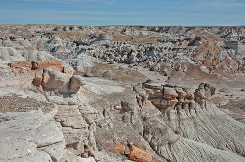 ������� :: ���������� ��� (Petrified forest) ���� 41