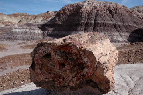 ������� :: ���������� ��� (Petrified forest) ���� 42