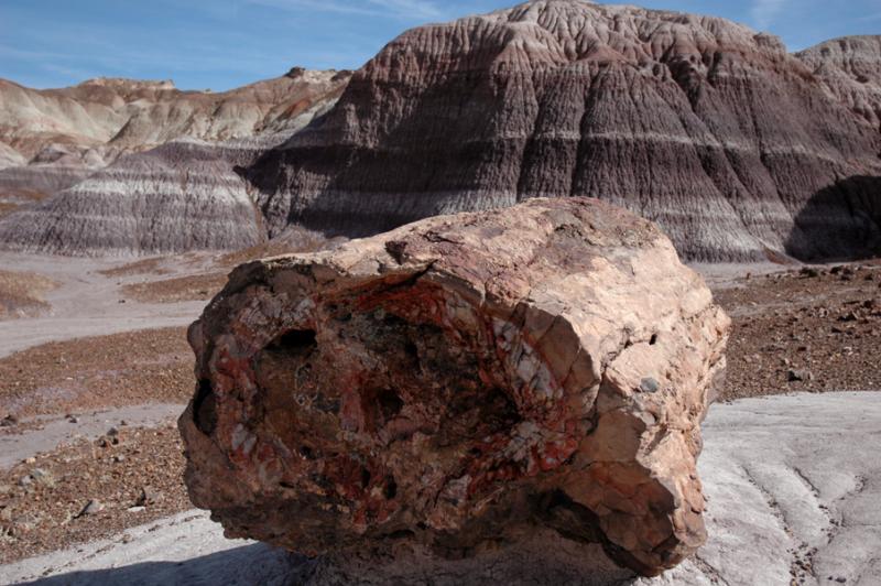 ������� :: ���������� ��� (Petrified forest) :: ���������� 2