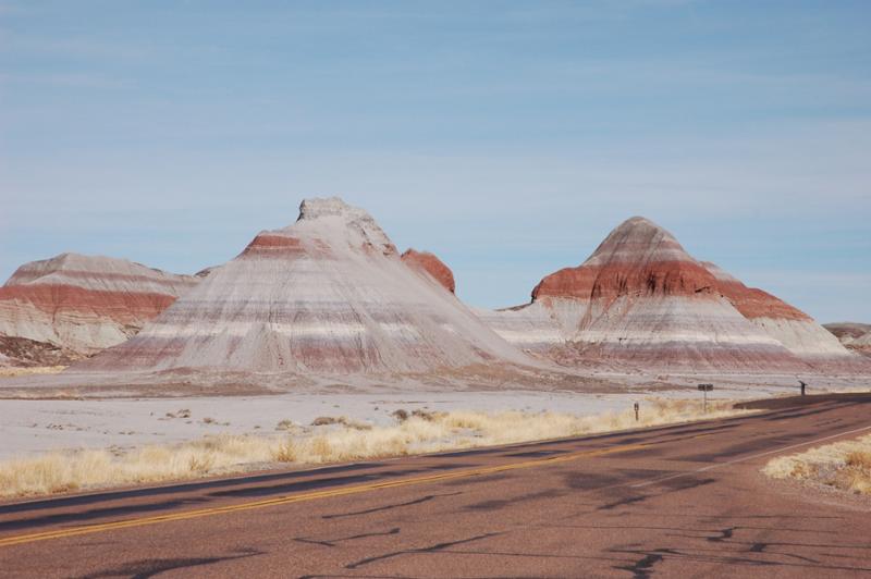 ������� :: ���������� ��� (Petrified forest) :: ���������� 2