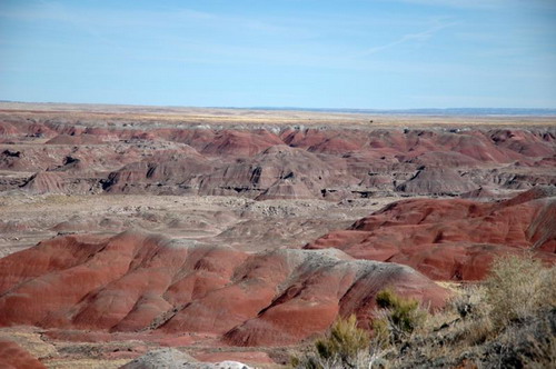 ������� :: ���������� ��� (Petrified forest) ���� 44