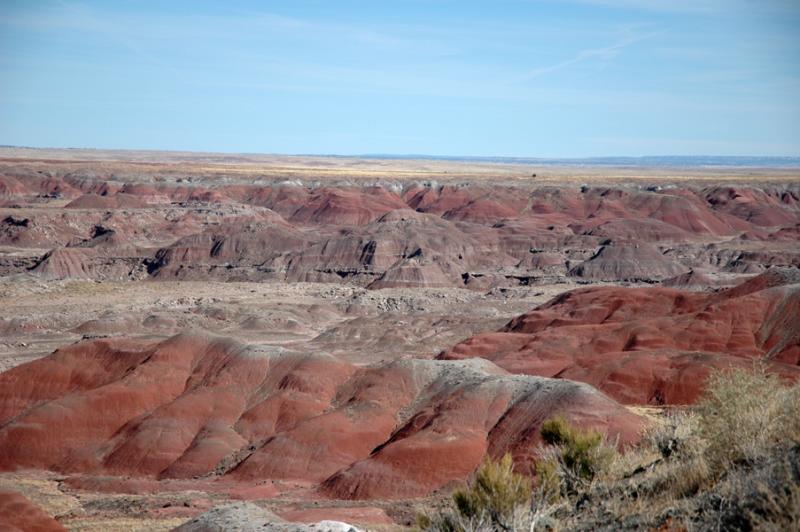 ������� :: ���������� ��� (Petrified forest) :: ���������� 2