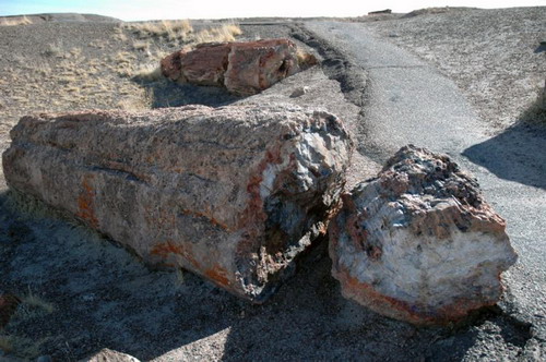 ������� :: ���������� ��� (Petrified forest) ���� 45