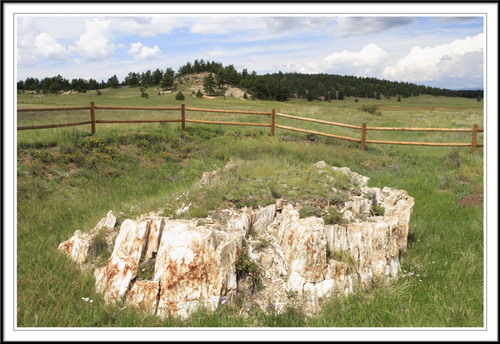 ������� :: ���������� ��� (Petrified forest) ���� 58
