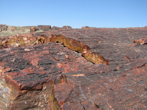 ������� :: ���������� ��� (Petrified forest) ���� 60