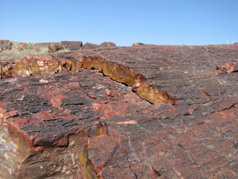 ������� :: ���������� ��� (Petrified forest) :: ���������� 2