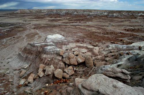 ������� :: ���������� ��� (Petrified forest) ���� 62