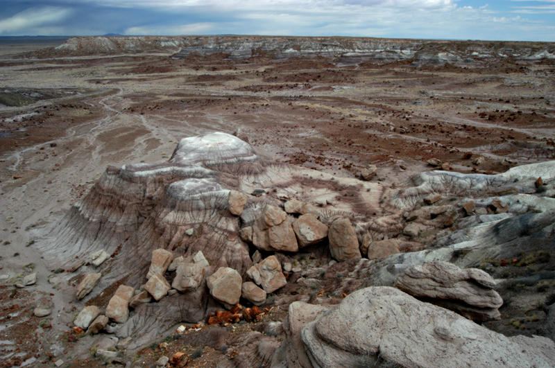 ������� :: ���������� ��� (Petrified forest) :: ���������� 2