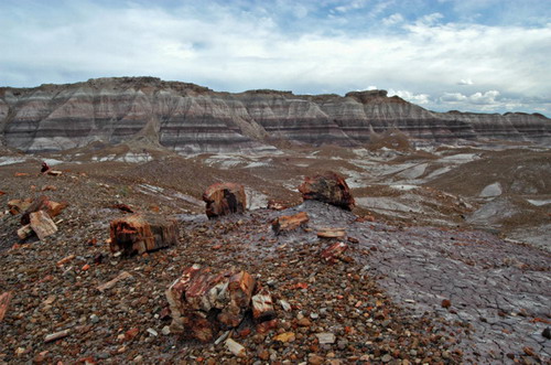 ������� :: ���������� ��� (Petrified forest) ���� 66
