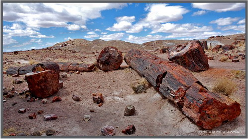 ������� :: ���������� ��� (Petrified forest) ���� 69