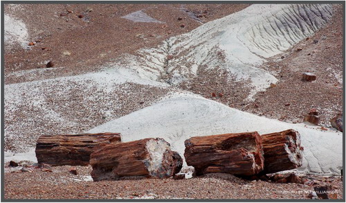 ������� :: ���������� ��� (Petrified forest) ���� 70