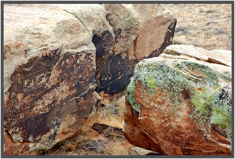 ������� :: ���������� ��� (Petrified forest) :: ���������� 2