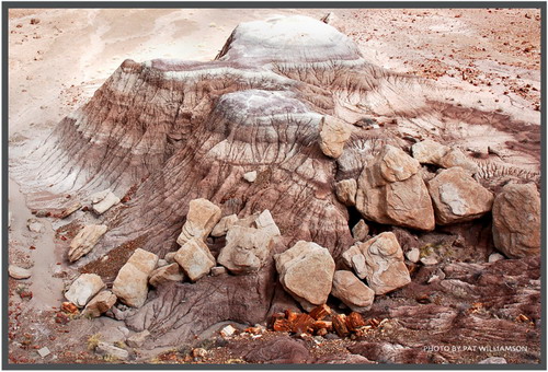 ������� :: ���������� ��� (Petrified forest) ���� 75