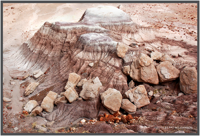 ������� :: ���������� ��� (Petrified forest) :: ���������� 2