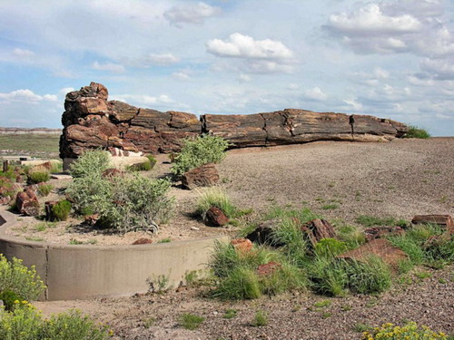 ������� :: ���������� ��� (Petrified forest) ���� 77