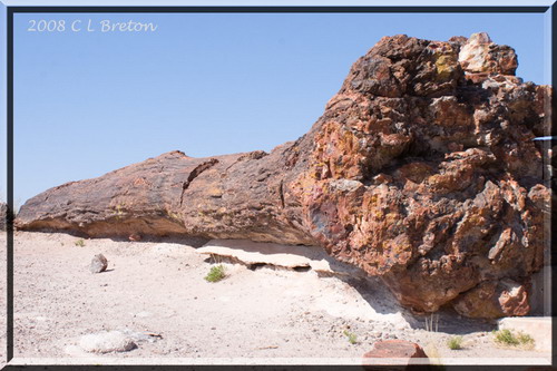 ������� :: ���������� ��� (Petrified forest) ���� 83