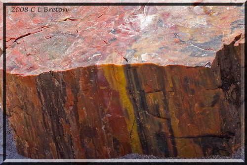������� :: ���������� ��� (Petrified forest) ���� 87