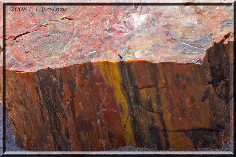 ������� :: ���������� ��� (Petrified forest) :: ���������� 2