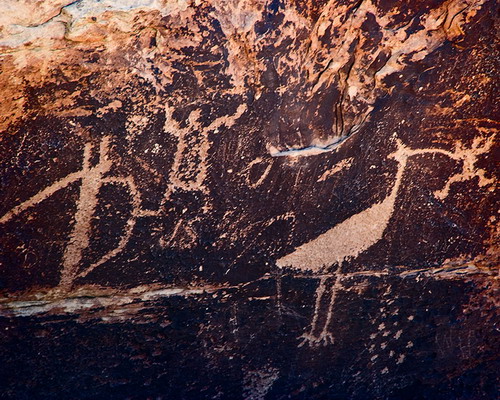 ������� :: ���������� ��� (Petrified forest) ���� 88