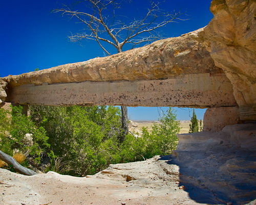 ������� :: ���������� ��� (Petrified forest) ���� 90