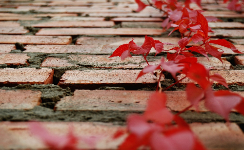 Красивые обои фото 23